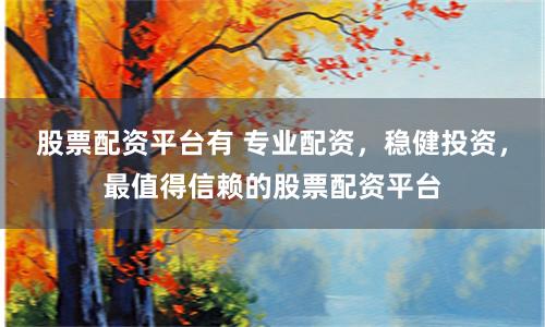 股票配资平台有 专业配资，稳健投资，最值得信赖的股票配资平台