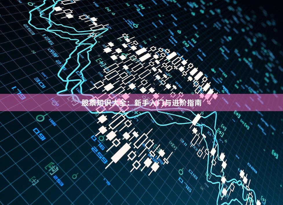 股票知识大全:新手入门与进阶指南