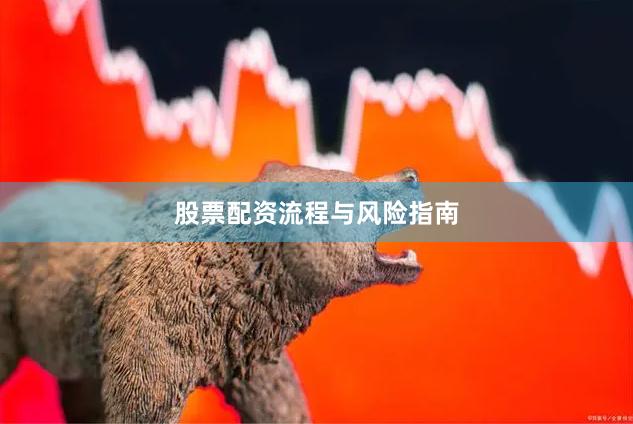 股票配资流程与风险指南