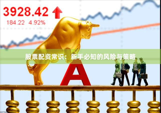 股票配资常识：新手必知的风险与策略