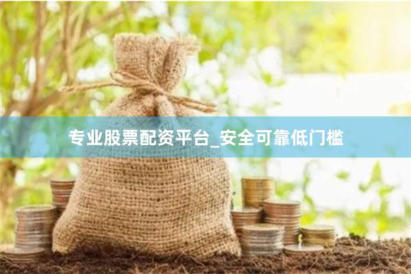 专业股票配资平台_安全可靠低门槛